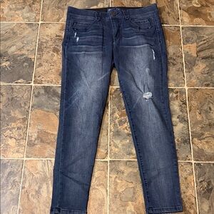 Democracy Dark Blue Distressed Skinny Jeans